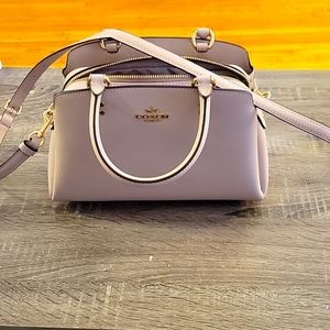 Mini Lillie Carryall